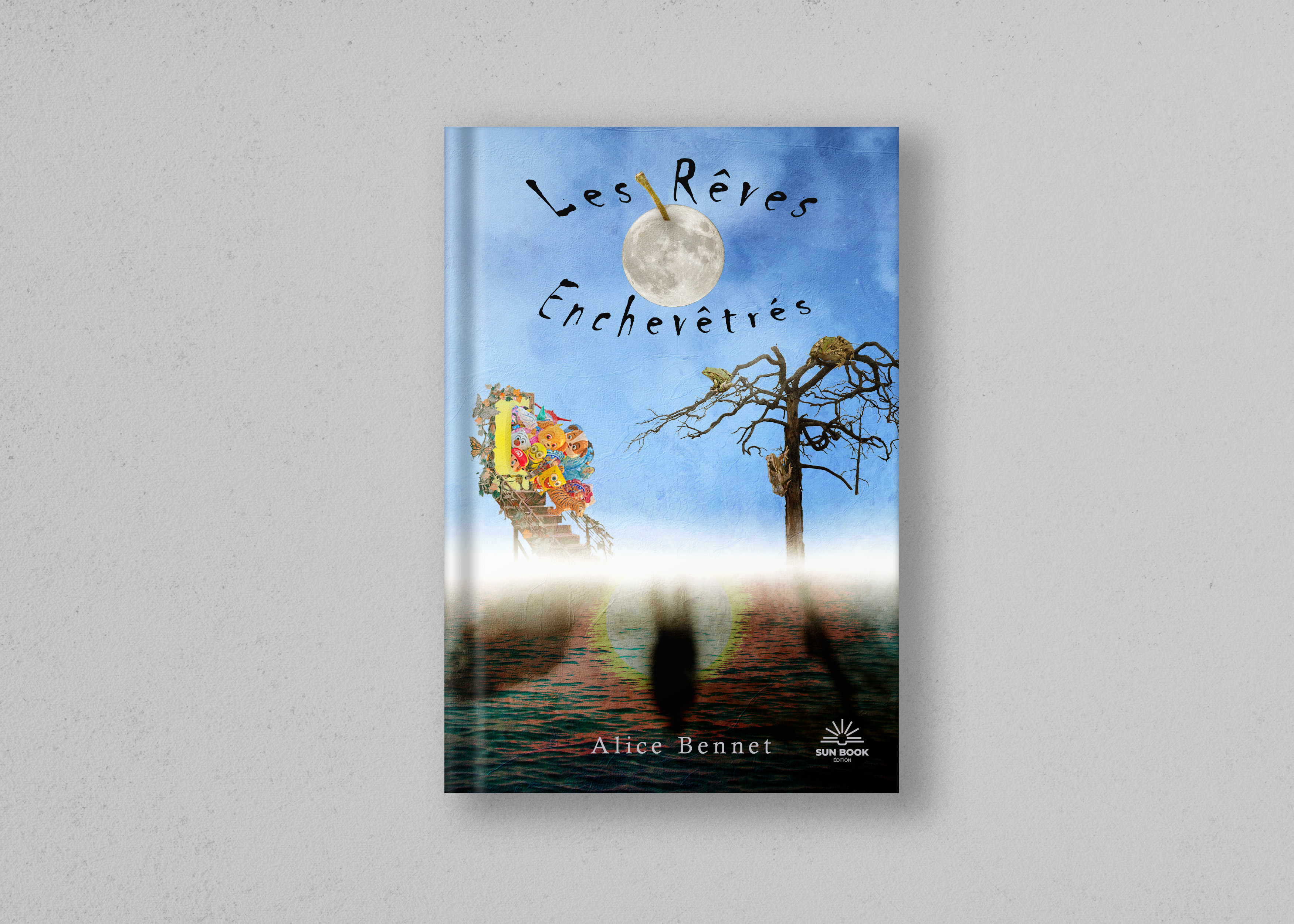 Illustration couverture de livre